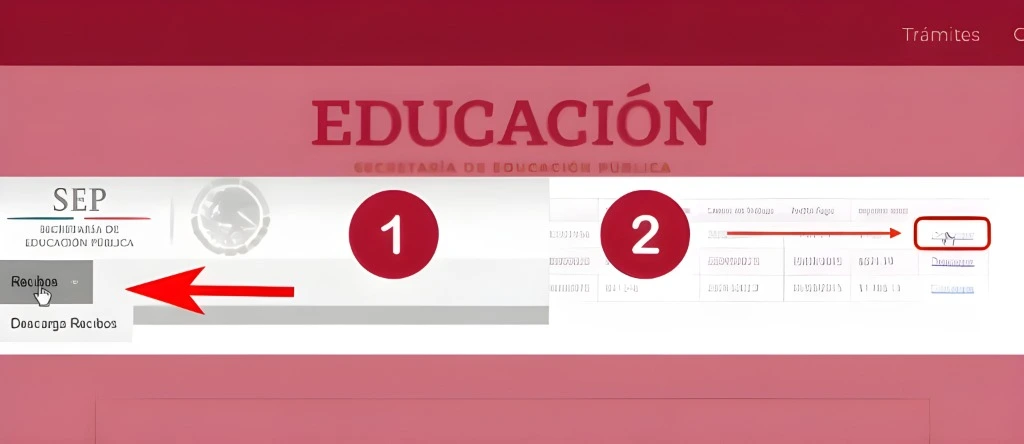 Cómo Verificar la Información de tu Recibo de Pago en el Portal Mi FONE SEP